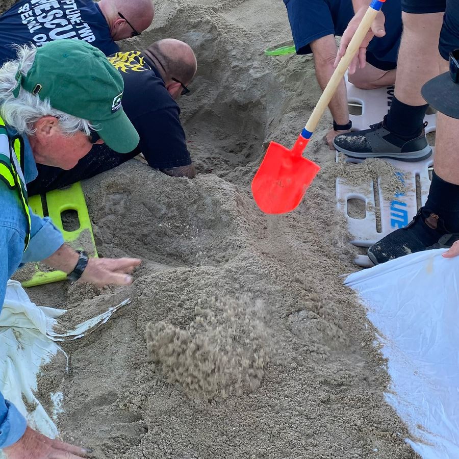 Beach/Sand Collapse Rescue